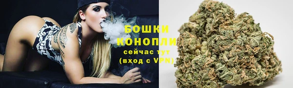 дмт Белокуриха