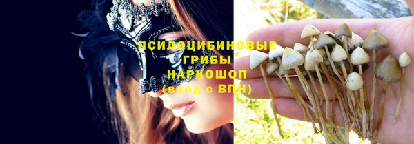 ALPHA PVP Беломорск