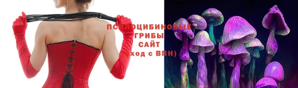 ALPHA PVP Беломорск