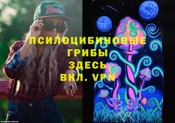 дмт Белокуриха