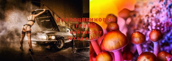 ALPHA PVP Беломорск