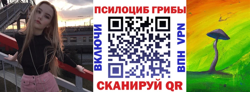 наркота  Куровское  Галлюциногенные грибы MAGIC MUSHROOMS 